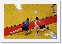 vs Seaman * (340 Slides)